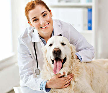 Tierkrankenversicherung - Ärztin streichelt Hund